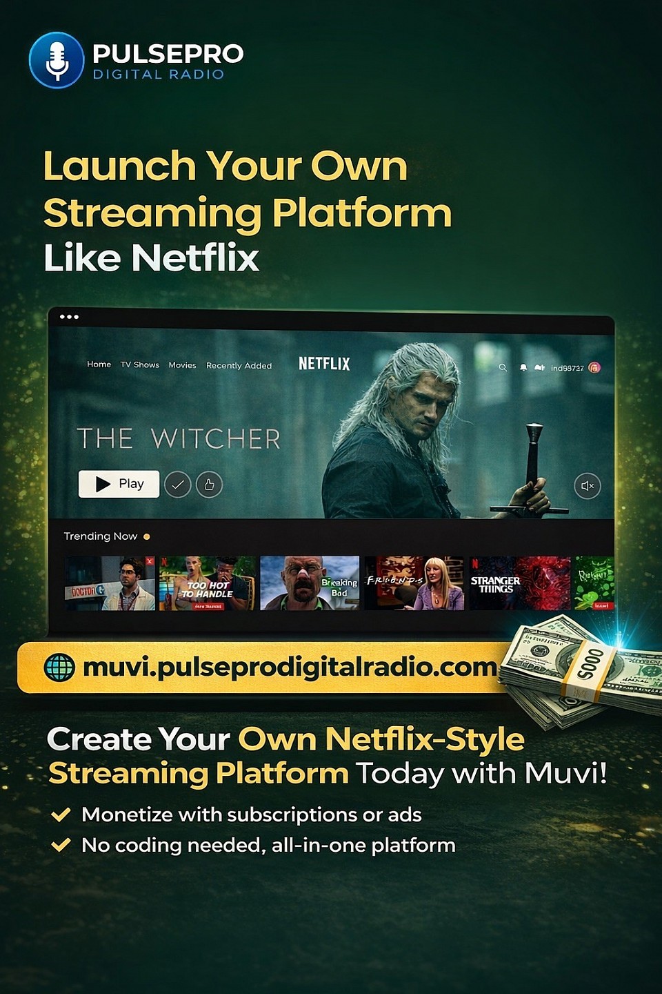 Muvi.pulseprodigitalradio.com