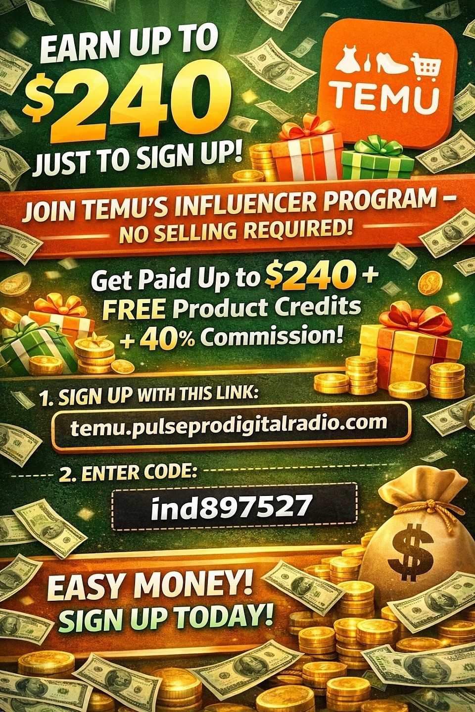 Temu.pulseprodigitalradio.com